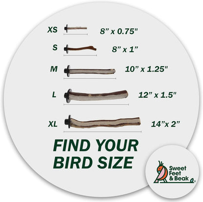 Superoost Manzanita Pumice Pedicure Perch- Easy to Install Bird Cage Accessories for Healthy Feet, Nails and Beak - Natural Bird Perches Imitates Birds' Life in The Wild - L 12"
