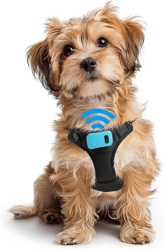 Bark Control Training Vest for Small Dogs - Rechargeable No Barking Device for Dogs - Bark Deterrent with 5 Sensitivity Levels, Adjustable Straps, D-Ring - No False Alarms or Throat Prongs