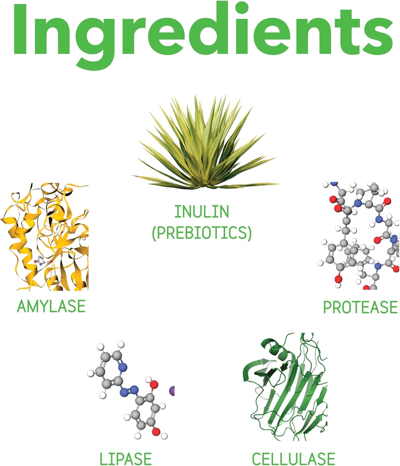 InClover Optagest Natural Digestive Aid, Organic Prebiotics & Enzymes Supplement Powder for Dogs and Cats - Promotes Healthy Stools, Less Gas, Optimal Nutrient Absorption, Intestinal Balance, 10.5oz
