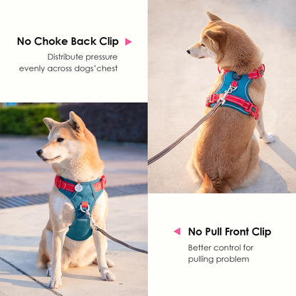 PHOEPET No Pull Dog Harness, Unique Colors Reflective Adjustable Dog Vest, with Soft Training Handle Metal Clips for Small Medium Large Dogs (Teal Base & Red Straps,M)