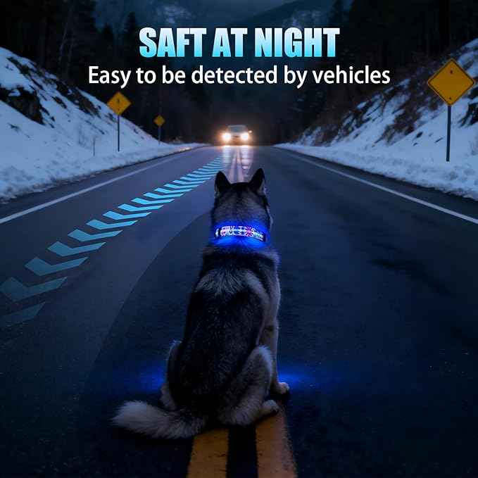 LED AirTag Dog Collar - Brightest Light Up Dog Collars - IP68 Waterproof Air Tag Dog Collar Holder - 1,600 Feet of High Visibility - Magnetic Charging - Dog Lights for Night Walking (Flower, L)
