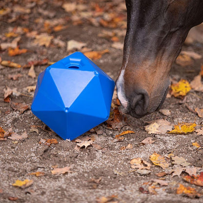 Schneiders Treat Ball Feeder | Horse Entertainment Solution | Stress Reliever | Easy to Fill | Safe for Stall or Paddock | Durable Polyethylene Construction