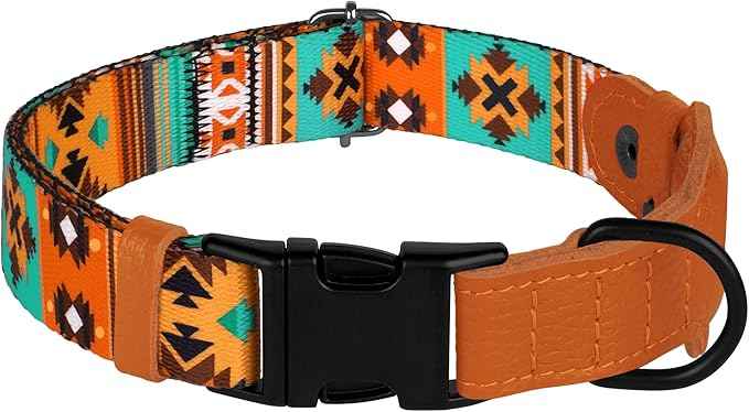 AirTag Dog Collar with Metal Buckle - Printed Nylon Soft Leather Dog Collar with Apple AirTag Holder - Secure Tracking GPS Pet Collars for Girl Boy Small Large Dogs (L, 17"-21" Neck Fit, Southwest)