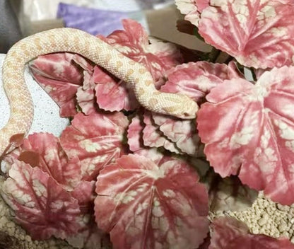 Reptile Plants for Terrarium Decor,Amphibian Habitat Decor,Artificial Plants for Gecko Chameleon Snake Tortoise Tank Accessories with Base (Pink heuchera micrantha)