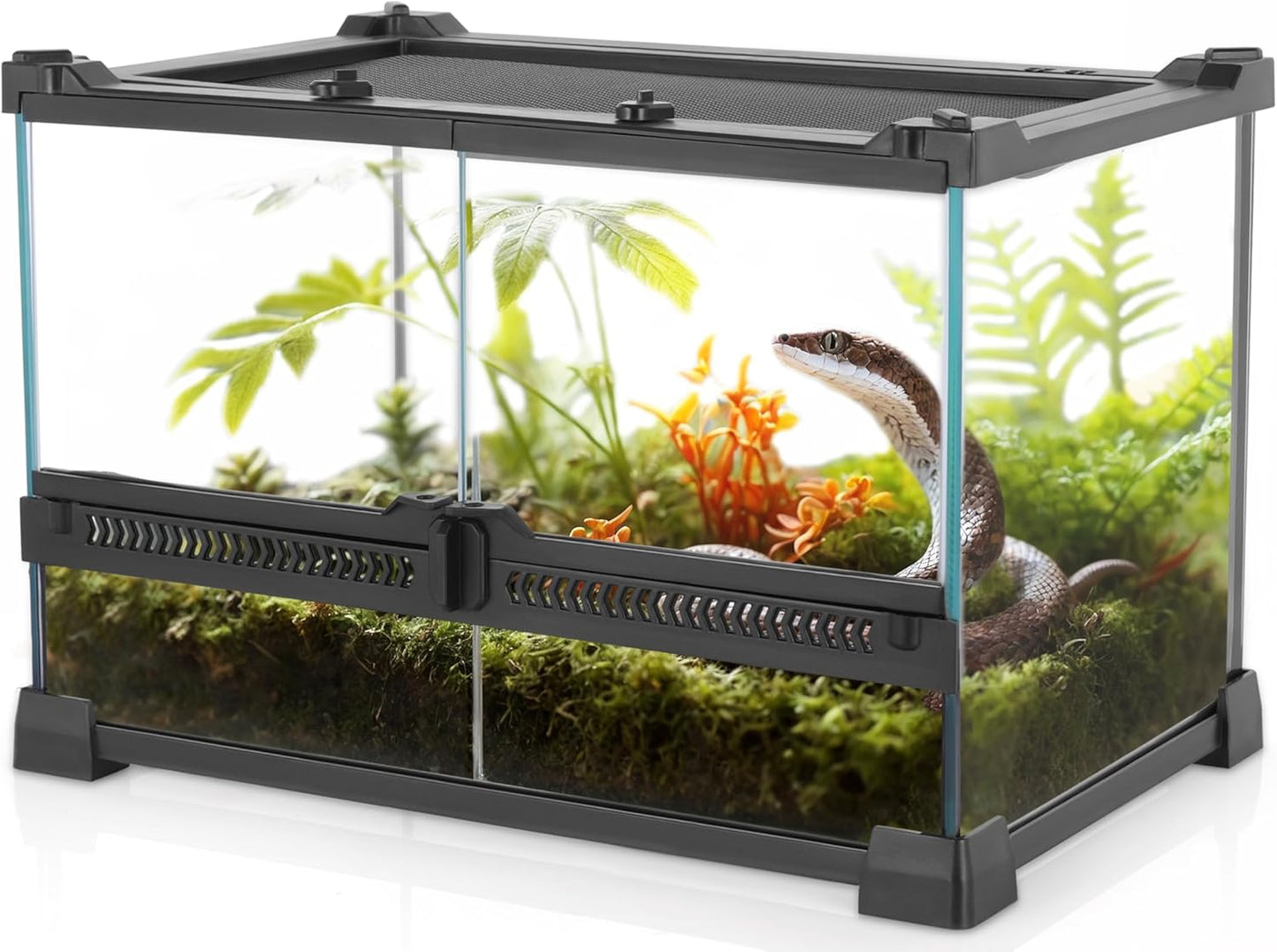 Mini Reptile Glass Terrarium 12"x8"x8" Durable Reptile Habitat Tank with Heat Resistant Aluminum Alloy Frame, Double Swinging Doors for no Jam by Sand and Other Debris - Pawvie