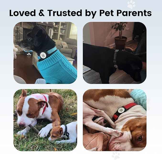for AirTag Dog Collar Holder, Smart QR Code Holder for Cats and Dogs, for AirTag Protective Cases - Scan Alert, Instant Location, Pet Online Profile, Contacts Info (1 Pack, Black)