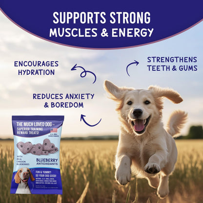 The Much-Loved Dog!™ Blueberry Dog Treats – Natural Biscuits for Small Dogs & Large Breeds – Healthy Puppy Treats for Small Dogs Made in USA, Training Snacks for All Breeds (3 Pack, Blueberry)