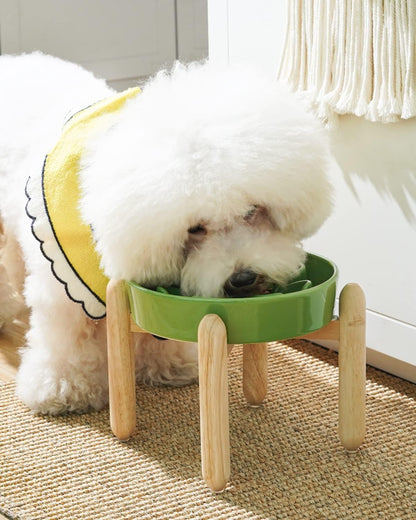 LE TAUCI Ceramic Slow Feed Dog Bowls, Elevated for Small Breeds, Anti-Gulping, Non-Slip, 6 inch, Green