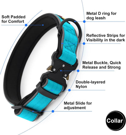 Plutus Pet Tactical Dog Collar, Reflective, Adjustable Heavy Duty Dog Collar, Soft Padded and Comfortable, for Small Medium and Large Dogs (Cyan, M)