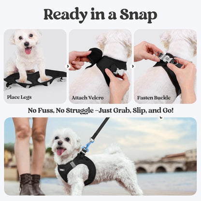 rabbitgoo Dog Harness Small Sized and Leash Set, Step in Soft Light Puppy Vest, Breathable Mesh Pet Harness, Reflective for Safe Easy Walking, Black S