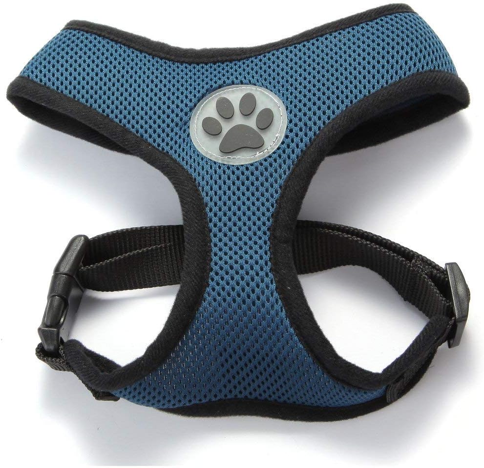 BINGPET Dog Vest Harness -Light Weight Breathable Sports Mesh - Pet Adjustable Harness Puppy Padded Harnesses Dog Vest Harness for Small Dogs
