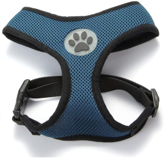BINGPET Dog Vest Harness -Light Weight Breathable Sports Mesh - Pet Adjustable Harness Puppy Padded Harnesses Dog Vest Harness for Small Dogs