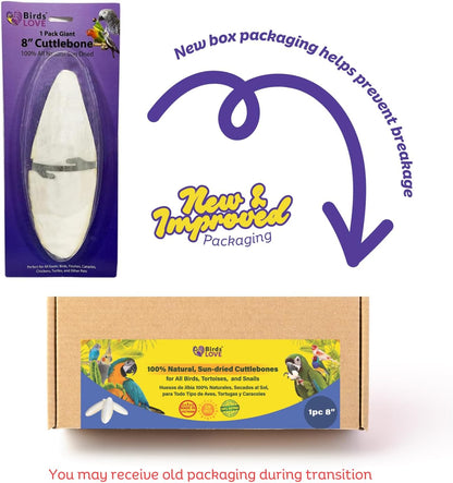 Birds LOVE 7.5" to 8" Natural Cuttlebone for Birds, Tortoises, Snails & Crabs (1 Pack) – 100% Pure Sun-Dried Cuddlebone Calcium Supplement to Support Beak & Shell Health
