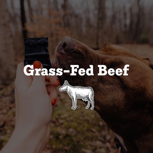 Farm Hounds - Beef Heart - Premium Natural Beef Heart Jerky for Dogs - Made from 100% Humanely Raised Cattle - Organ Treat - Great for Training & Treats - No Added Fillers - Made in USA - 4oz -2 Pack