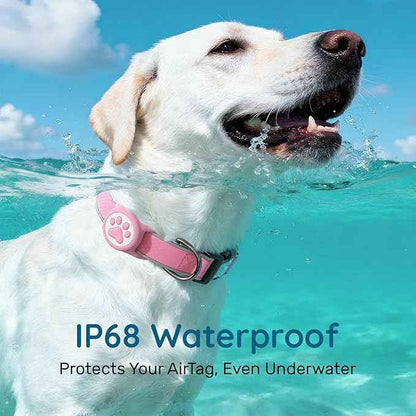 Airtag Dog Collar, IPX8 Waterproof Air Tag Dog Collar Holder | Reflective Ultra-Durable | Soft Padded | Safety Locking Buckle | Fit Miedium Dogs (Neon Pink M(12.6"-19.6"))
