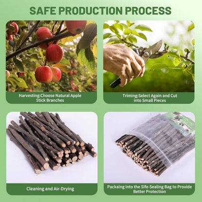 Natural Apple Wood Chew Sticks 300g (10.5oz) for Rabbits, Hamsters, Chinchillas, Guinea Pigs - Small Animal Dental Toys, Safe Untreated Teeth Grinding & Boredom Relief, Rodent Molar Health (300g)