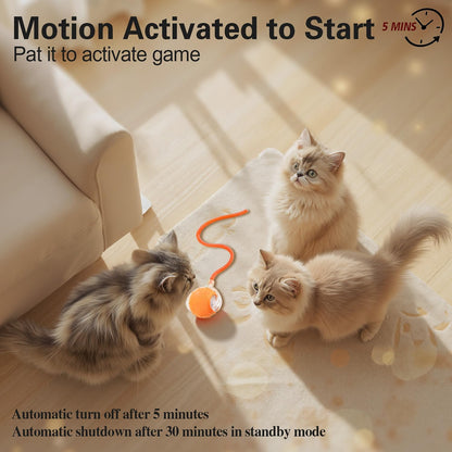 Interactive Cat Toys Ball for Indoor Cats, Automatic Agile Rolling Cat Ball with Elastic Mesh Tail, Bird Chirping & Motion Activated, 2 Tail Accessories, Kitten Toy for Bored (Orange)