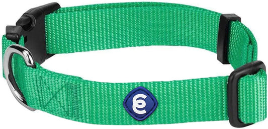 Blueberry Pet Essentials Medium Dog Collar in Emerald | Adjustable & Eco-Friendly Durable Nylon Strap | Classic Collar for Medium Dogs, Boy & Girl Pets