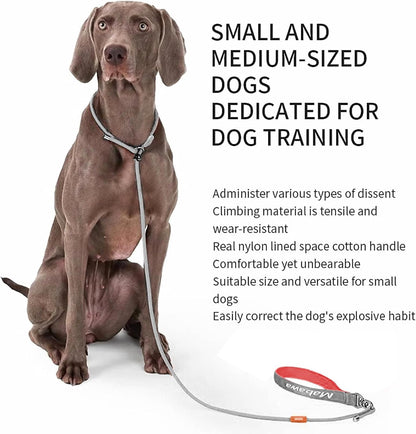Dog Anti-Slip Leash 5FT with Metal Stopper - Durable No-Pull Training Lead for Small, Medium & Large Dogs - Comfortable Handle Nylon Rope, Tangle-Free Pet Walking Leash (Gray, 5 FT)
