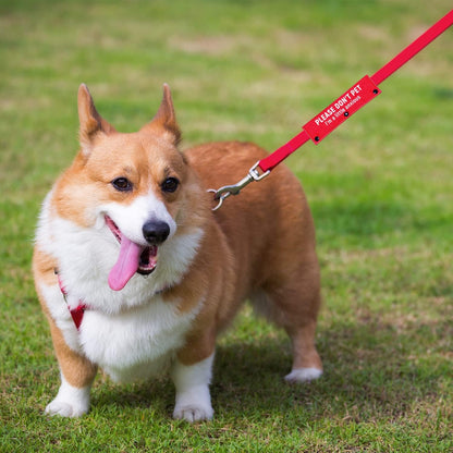 Advivio I'm a Little Anxious Red Dog Leash Sleeve, Wrap Alert Hanging ID Patch Tag for Pet Dog Cat The Best Choice for Daily Walking and Training Fitness, Pet Birthday Gift