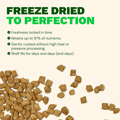 Get Joy Gut Health Fresh Freeze Dried Raw Meal, Beef Recipe, 16 Ounce Bag, Dog Food for Dogs of All Breeds and Life Stages, PhD Animal Nutritionist Formulated, USDA Beef, Made in USA