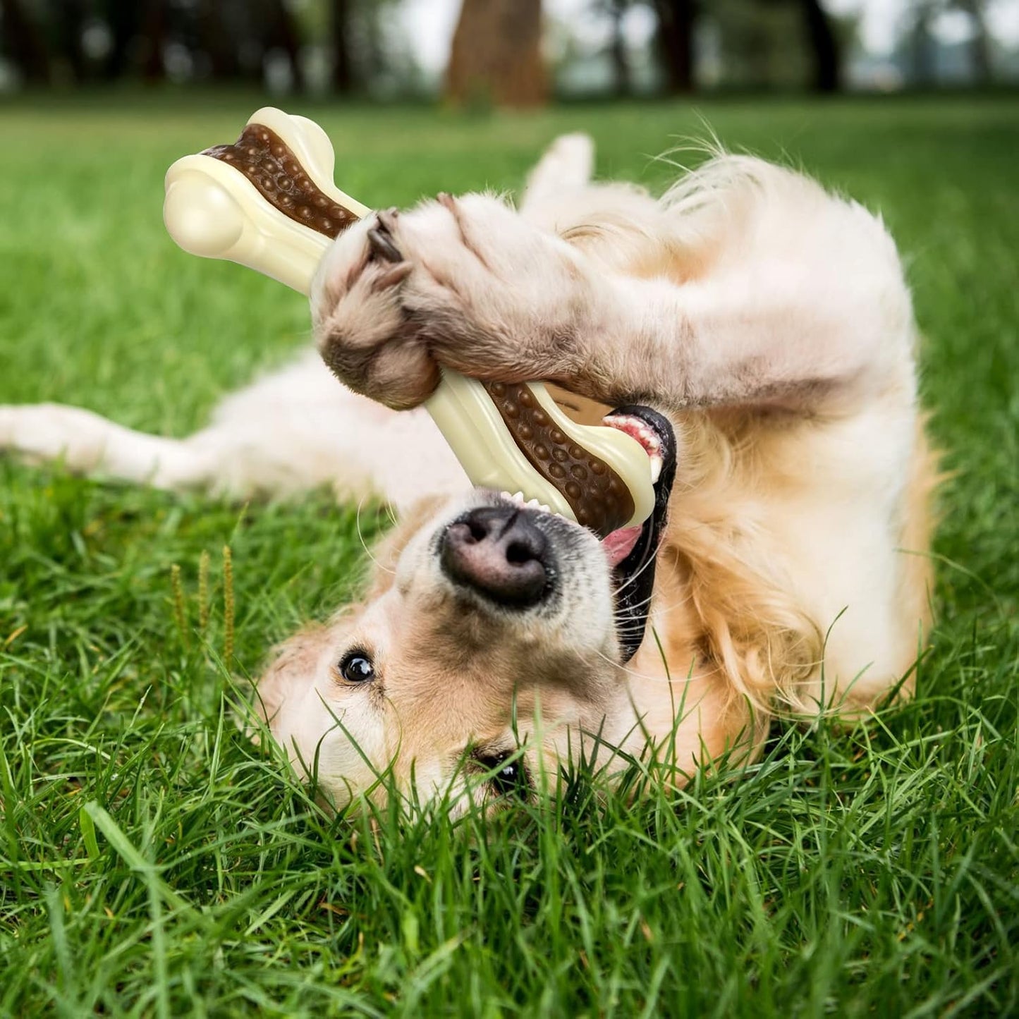 Sosation 6 Pcs Dog Toys for Aggressive Chewers Nylon Beef Flavor Bones Tough Puppy Teething Toys Puppy Chew Bones for Large Medium Small Breed Dogs Puppies Pets Chew Toys(Large)