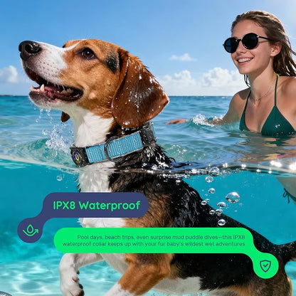 WhoseID Premium AirTag Dog Collar - Waterproof Medium Air Tag Dogs Collar | Magnetic Buckle Heavy Duty Collar | Reflective Dog Collar with AirTag Holder