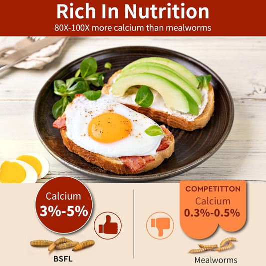 Dried Black Soldier Fly Larvae 10LB, 100% Natural Non-GMO, No Additives, Treat for Chickens, Reptiles and Birds, More Calcium Than Mealworms