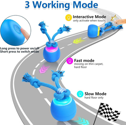 Interactive Dog Toys, Moving Dog Ball with Touch Activated, Active Rolling Ball for Puppy and Medium Dogs, Squeaky, USB Rechargeable