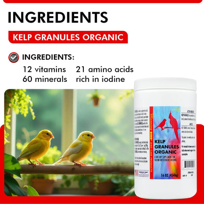 Morning Bird Kelp Granules 16 Oz – Iodine Supplement for Birds – Supports Feather Growth, Molting & Metabolism – Rich in Amino Acids, Trace Minerals & Natural Vitamins – Clean Nutrition for All Birds