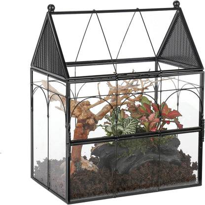 NCYP Glass Enclosure with Vent Holes for Insect, Jumping Spiders, Snails - 7.5" x 4.9" x 9" Small Closed Front Opening Door Succulent Terrarium - House Shape Habitat, Home Decor Black (No Plants)