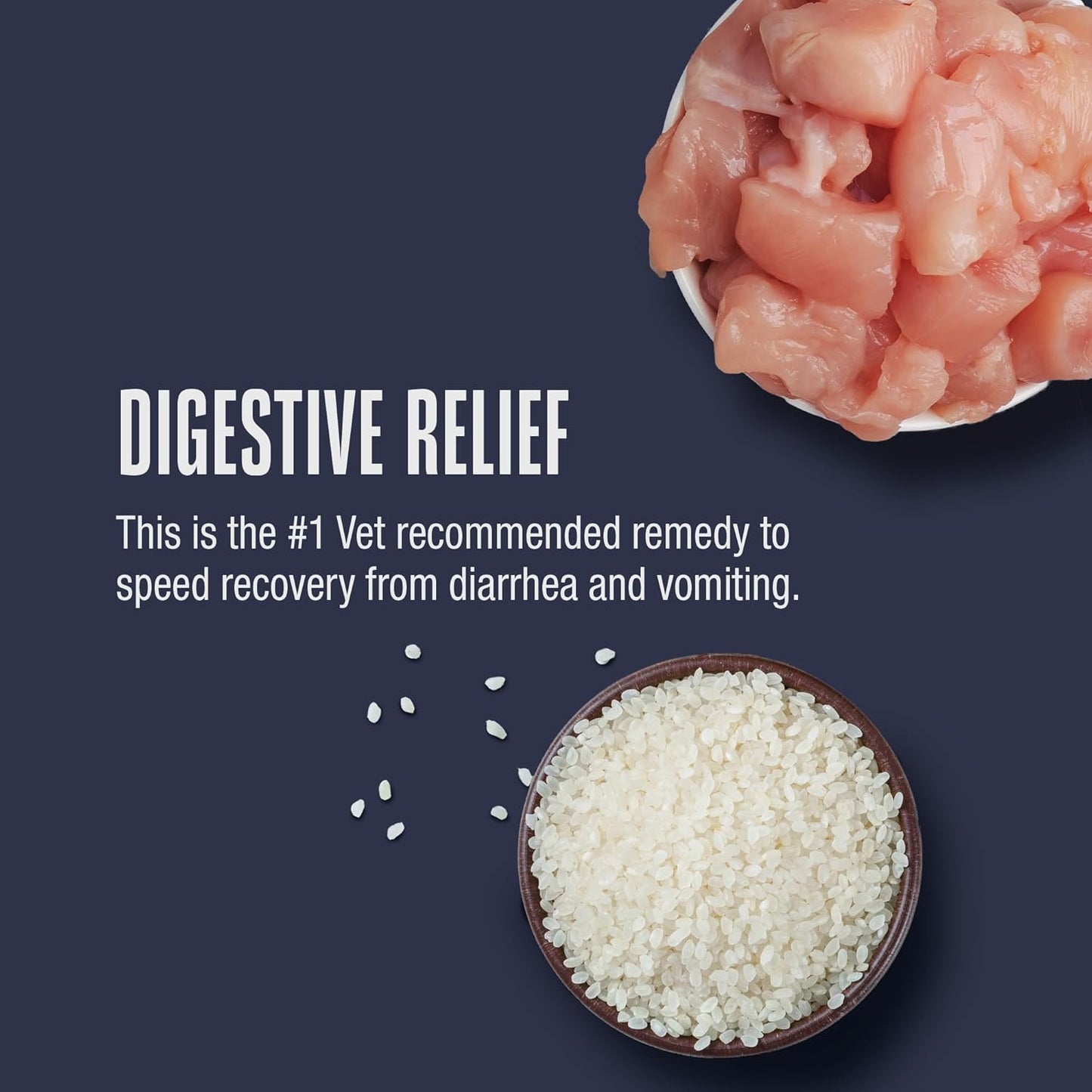 Whole Life Cat Freeze Dried Cat Food - Bland Diet with Sensitive Stomachs, Digestive Support, Anti-Diarrhea & Vomit Remedy – Human-Grade, Quick & Easy Chicken and Rice Meal, Ready in Minutes