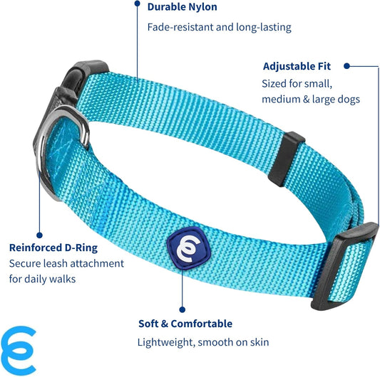 Blueberry Pet Essentials Large Dog Collar in Turquoise | Adjustable & Eco-Friendly Durable Nylon Strap | Classic Collar for Large Dogs, Boy & Girl Pets