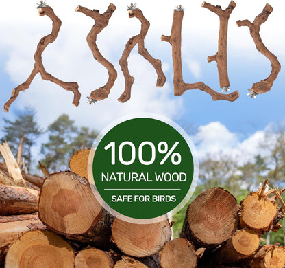 6-Piece Premium Bird Perch Stand with Natural Grape Wood Branch, Paw Grinding Fork, Chewing Stick, Cage Accessories for Parakeets, Budgies, Cockatiels, Finches, Lovebirds