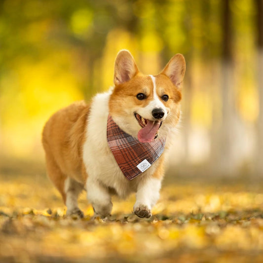E-Clover Brown Plaid Dog Bandana & Matching Scrunchie-Fall Dog Bandana Triangle Plaid Pet Scarf Bib for Small Dogs Puppy Girl Boy Owner Gift