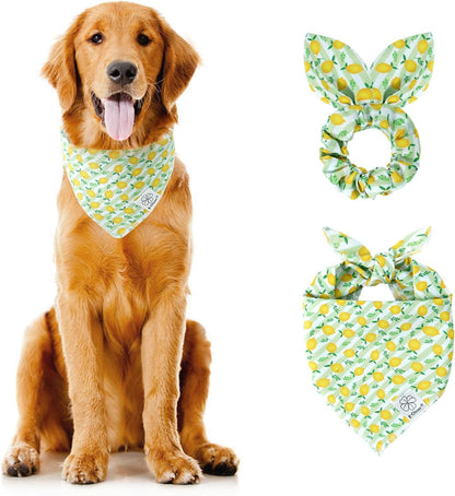 E-Clover Summer Lemon Dog Bandanas & Matching Scrunchie Set Green Stripe Dog Scarf Bibs Pet Bandana with Bow Tie for Medium Large Dogs Owner Mom