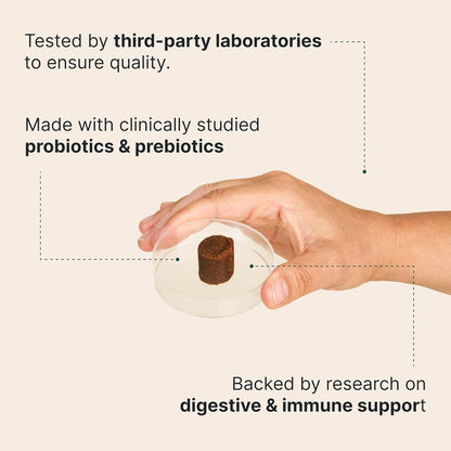 Wuffes Daily Probiotic for Dogs - Supports Digestive Health, Gut Balance, and Immune System - with Prebiotics, Marshmallow Root, and Pumpkin Powder - 60 Soft Chews
