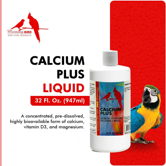 Morning Bird Calcium Plus Liquid Supplement for Birds - Liquid Calcium Formula with Magnesium and Vitamin D3 Calcium Supplement for All Birds – 32 Fl Oz