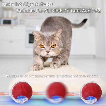 New Upgraded Cat Ball Toy - Speedy Tail 2.0 Cat Toy, Interactive Cat Toy Ball, Stimulating Toys and Juguetes para Gatos, Cat Toys for Bored Indoor（Sound Switchable） (Green)