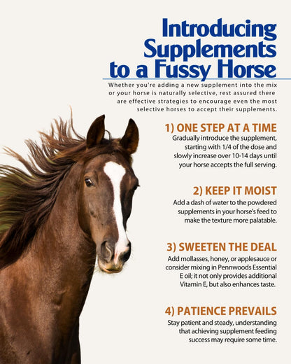 GI Renew Show, Probiotics for Equine, Immune and Appetite Stimulation, Prebiotics, Digestive Enzymes | Horse Supplement Providing Ulcer Relief and Treatment, Organic Toxin Binder, 6 LB Bag