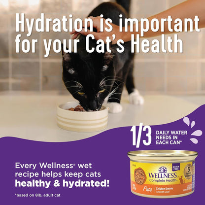 Wellness Complete Health Pate Kitten Wet Cat Food, Natural, Protein-Rich, Grain Free, 5.5 Ounce, 24 Pack, (Chicken)