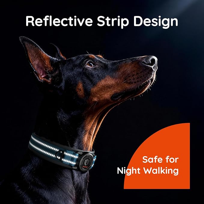 Upgraded AirTag Dog Collar with Holder, Waterproof Reflective Air Tag Dog Collar with Widened Comfortable Padding & Ultra-Durable Metal Buckle, Adjustable for Extra Large Dogs (XL, Blue)