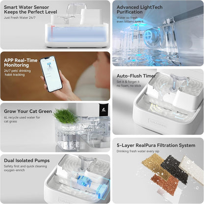 Daily Fresh Cat Water Fountain 10L/338oz Self Filling and Cleaning, Pet Water Dispenser with Filter System for Dogs, 5G Wi-Fi Smart Bowl Wastewater Separation & No Slimy with Quiet Pumps