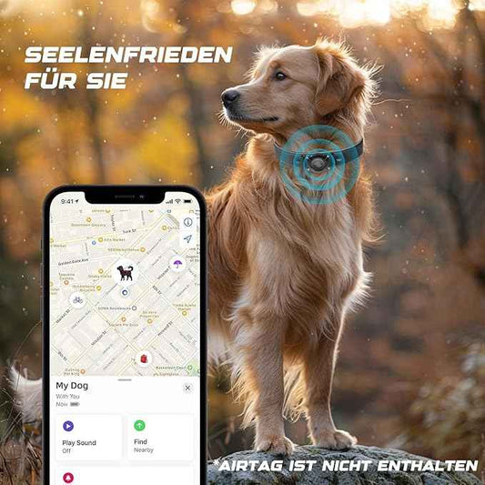 Leather AirTag Dog Collar, Waterproof Dog Collar with Air Tag Holder, Compatible with Apple Air Tag, Reflective, Durable, Comfortable Padded GPS Dogs Collars (Black, L)