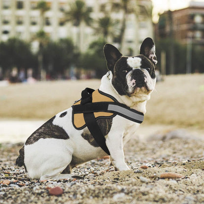 Bolux Dog Harness, No-Pull Reflective Dog Vest, Breathable Adjustable Pet Harness with Handle for Outdoor Walking - No More Pulling, Tugging or Choking (Army Yellow, M)