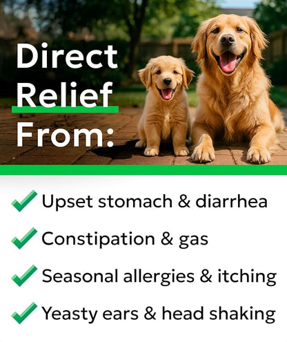 BARK&SPARK Dog Probiotics for Digestive Health w/Enzymes & Fiber - Diarrhea Gas Treatment Upset Stomach Relief - Allergy & Itchy Skin - Pet Probiotics for Dogs - (120Ct, Bacon)