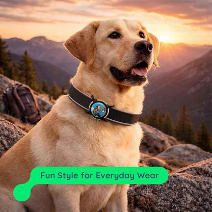 Dog AirTag Holder for Dog Collar, Soft Silicone Slide-On Case for Apple AirTag, No-Dangle Quiet Protective Holder with Eye-Catching Pet Character Designs, Black-Summit Explorer