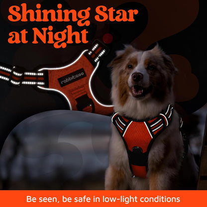 rabbitgoo Dog Harness Medium Sized, No Pull Dog Vest with 3 Buckles, Adjustable Soft Padded Pet Harness with Easy Control Handle and Reflective Strips, Orange, M