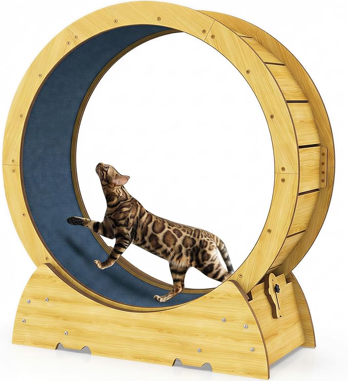 Cat Exercise Wheel for Indoor Cats - Cat Treadmill Wheel with Detachable Carpeted Runway - Natural Solid Wood Sturdy Running Wheel for Running/Walking/Training - Suitable for Most Cats, 36"