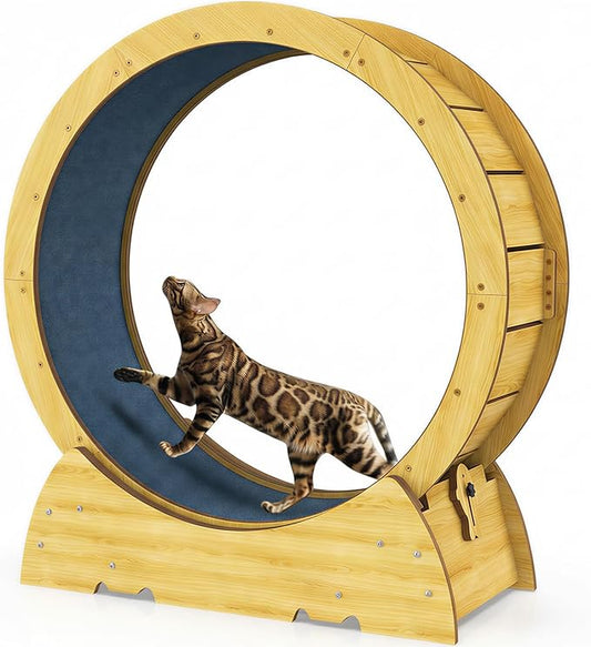 Cat Exercise Wheel for Indoor Cats - Cat Treadmill Wheel with Detachable Carpeted Runway - Natural Solid Wood Sturdy Running Wheel for Running/Walking/Training - Suitable for Most Cats, 36"